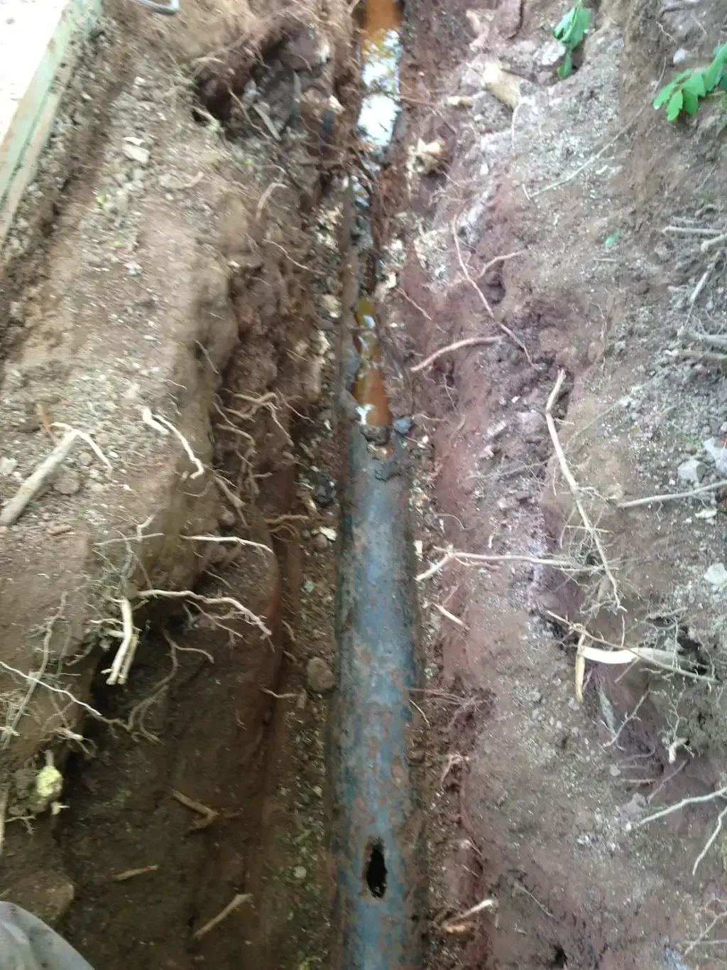 Damaged drain pipe exposed in an excavated trench with visible tree roots around it