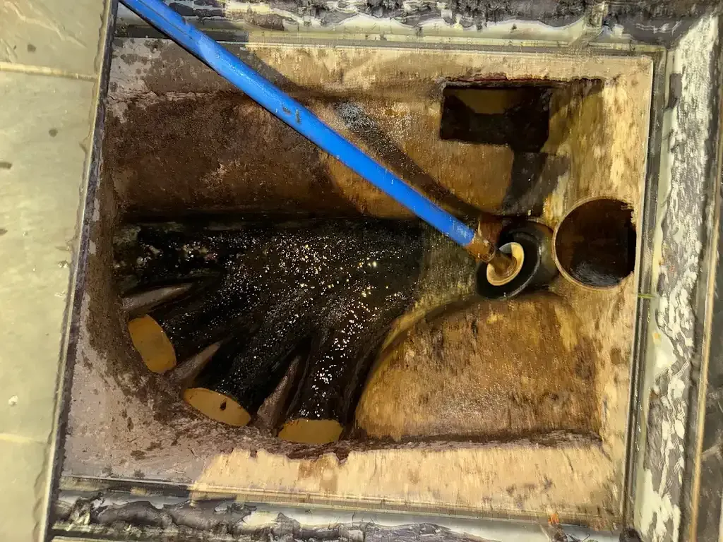 A drainage chamber.
